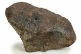 Chondrite Meteorite ( kg) - Excellent Regmaglypts #302277-1